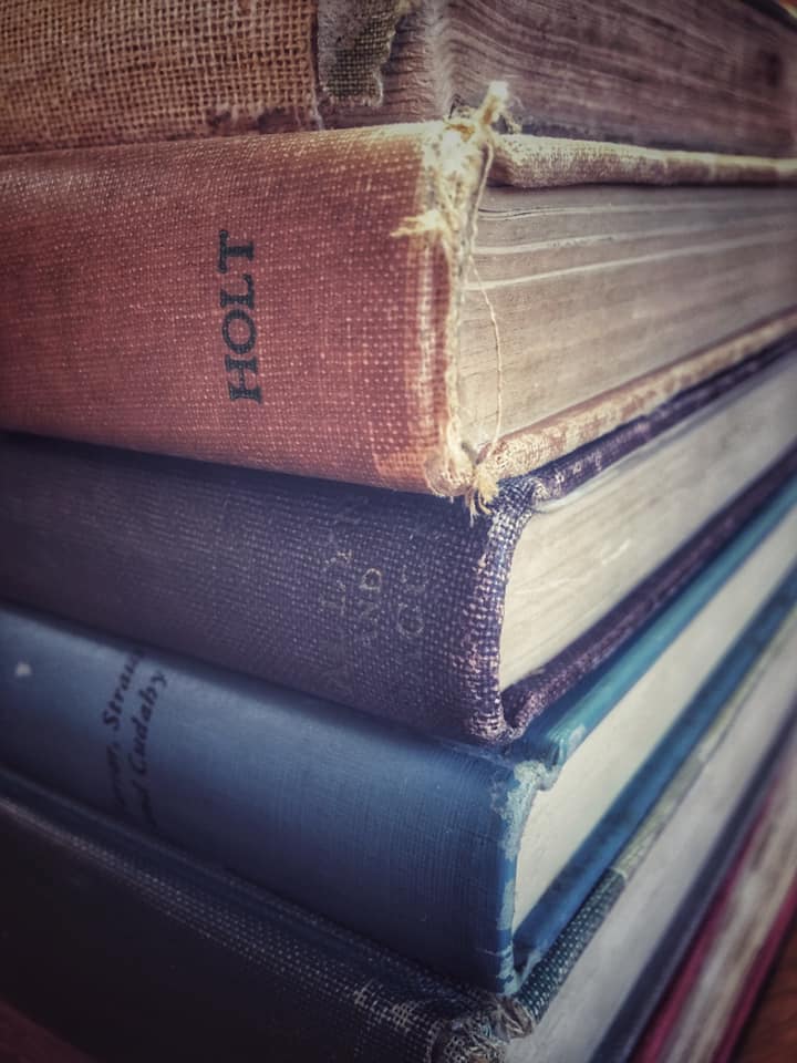 51178914_2475759259118963_5658759827845808128_n